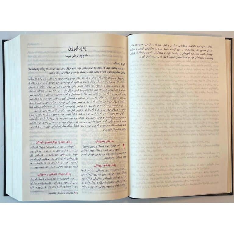 satilik kürtçe i̇nci̇l 11 31 35 am